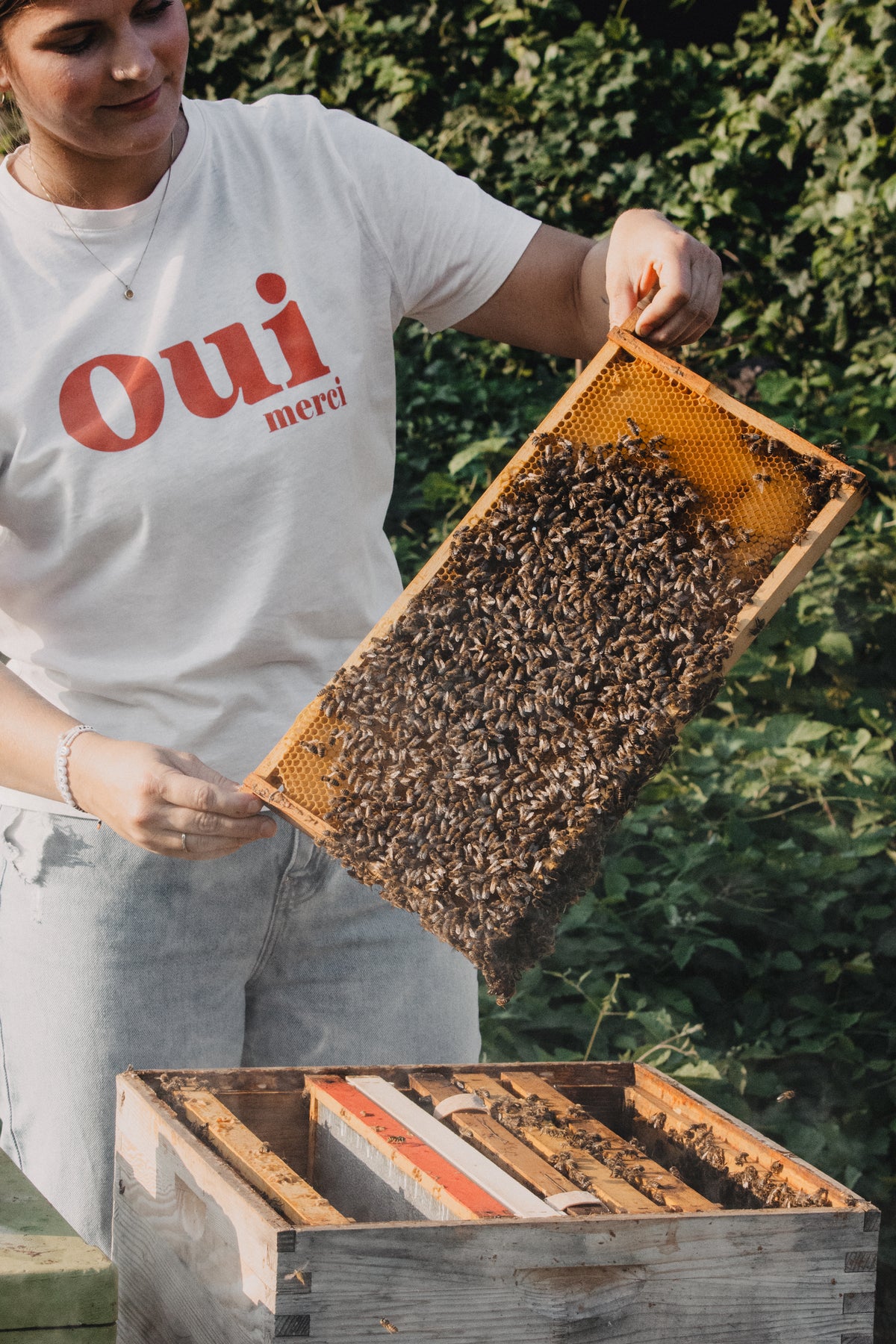 Fräulein Honig bei den Bienen